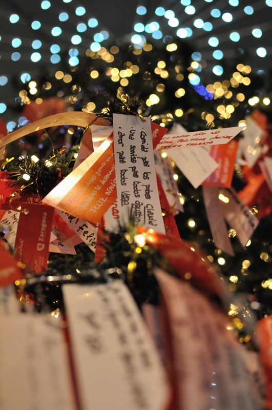 El árbol de los deseos/The Wishing Tree