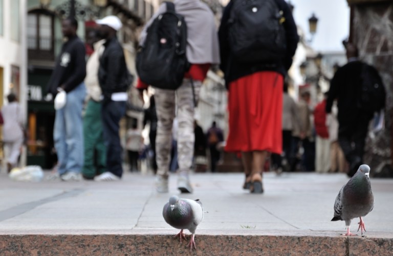 Escapar del fotograma/Escape from photogram