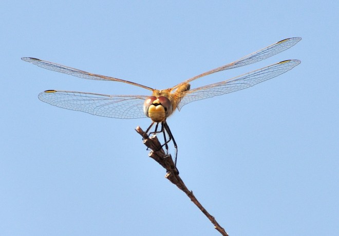 anmibi@gmail.com-naturaleza