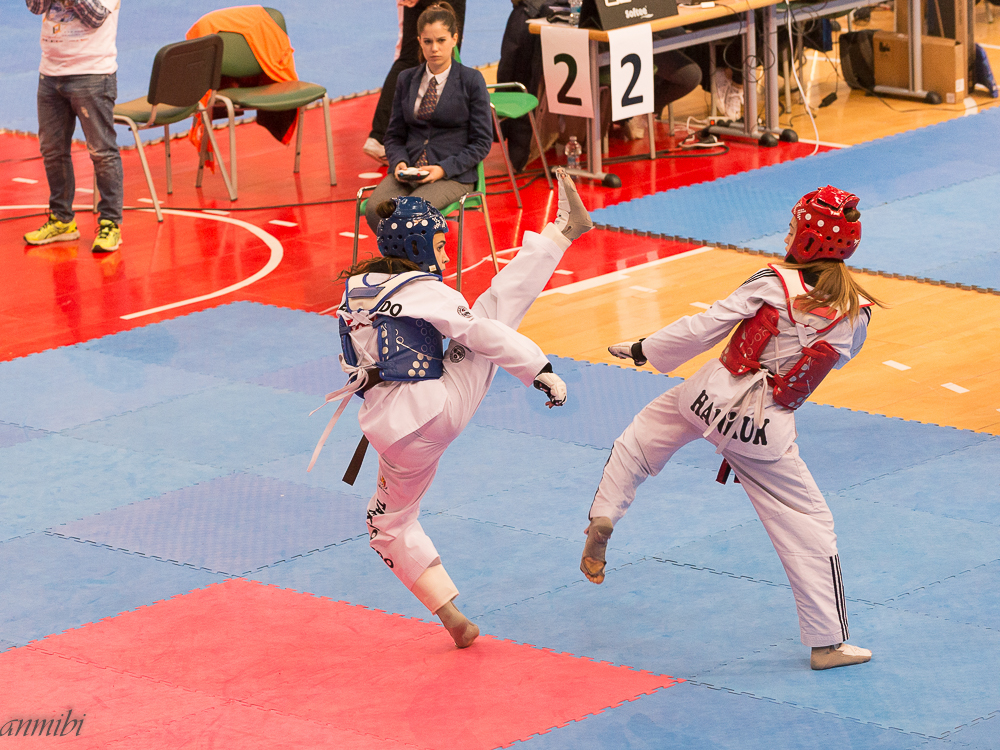 V OPEN INTERNACIONAL DE TAEKWONDO,&nbsp;ZARAGOZA