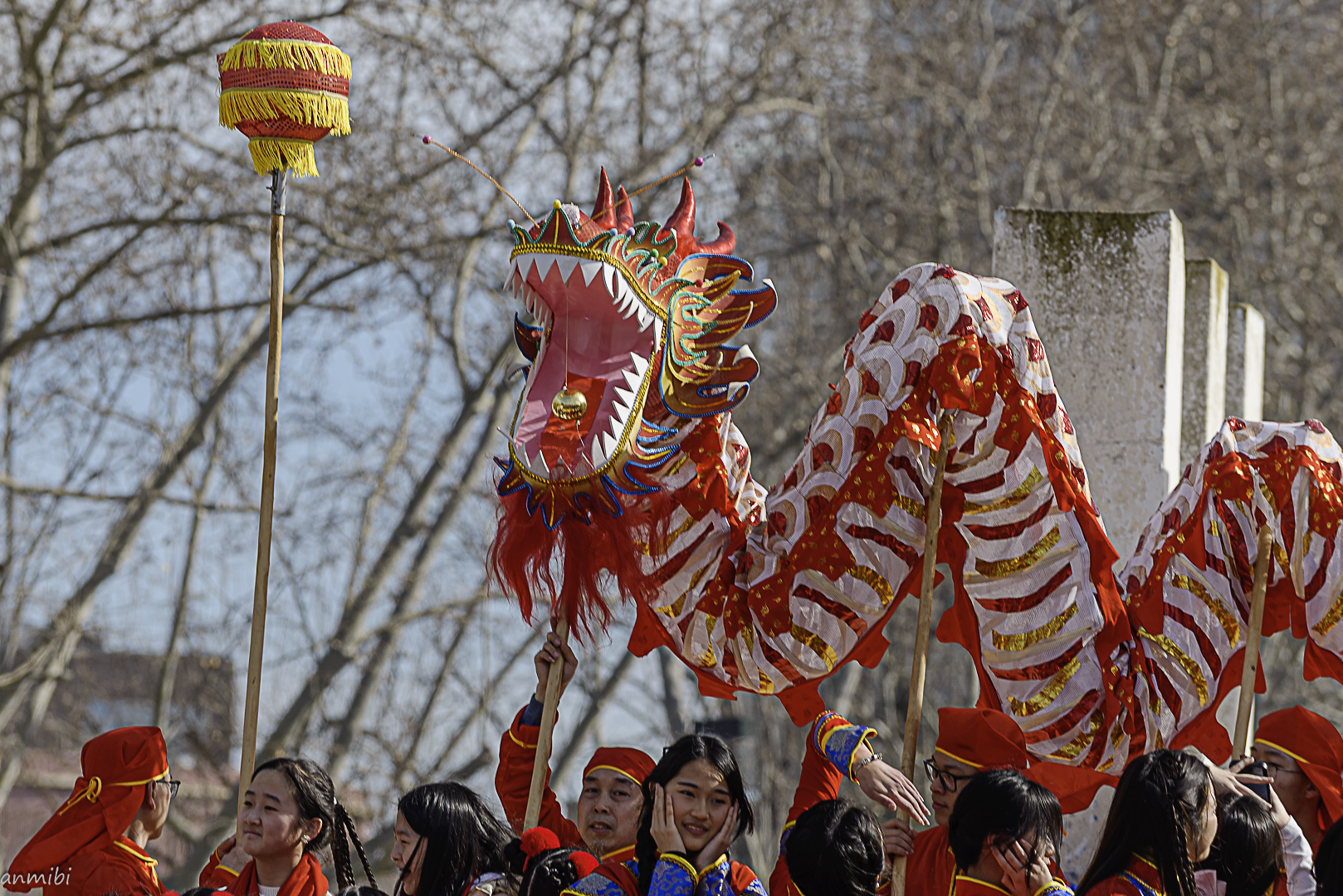 马, Caballo, Horse