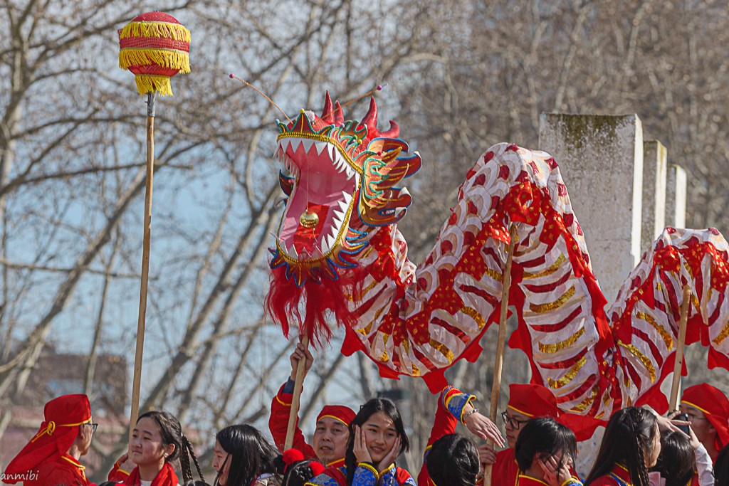 马, Caballo, Horse