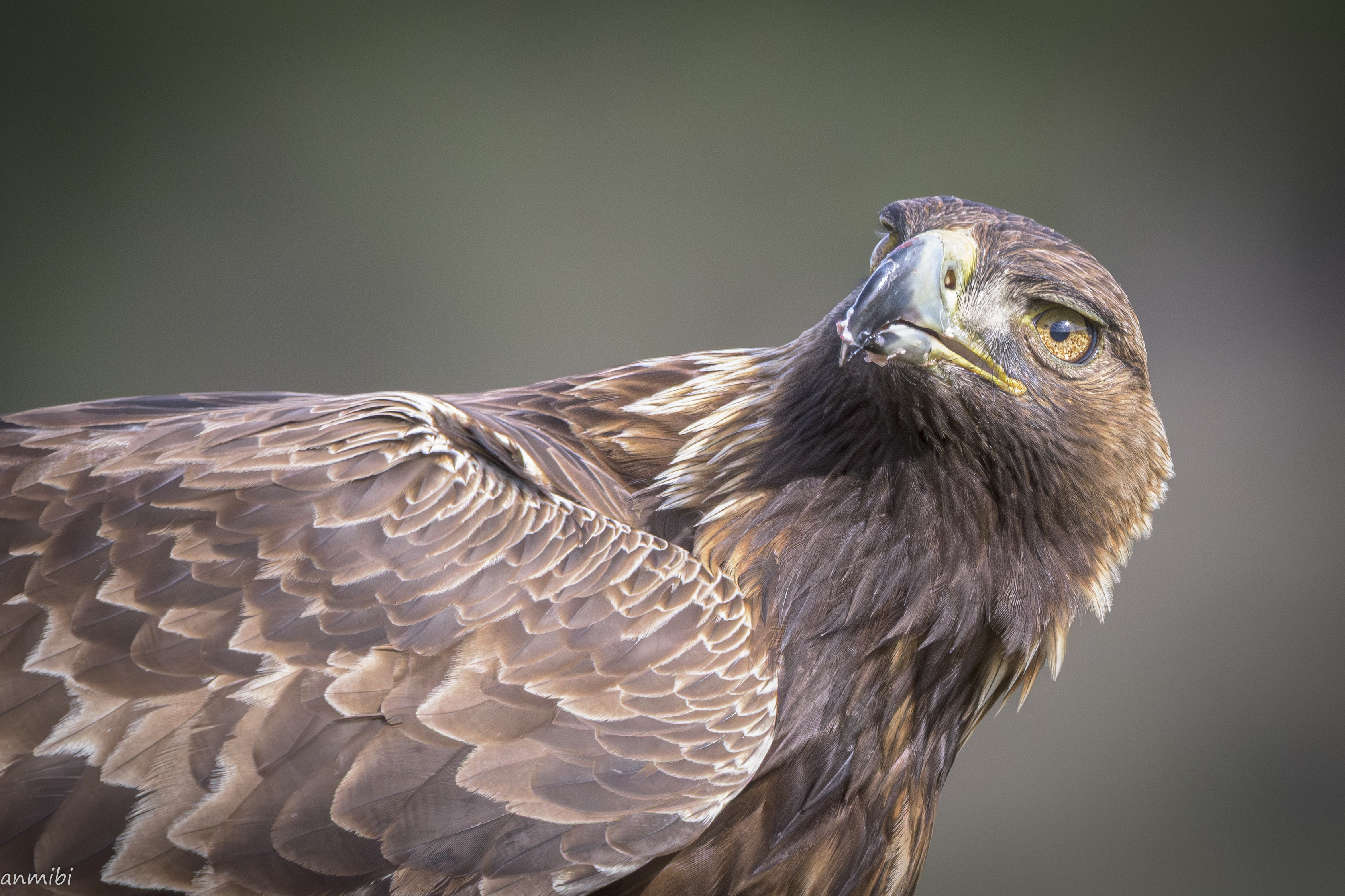 Reina de los cielos/Queen of Heaven